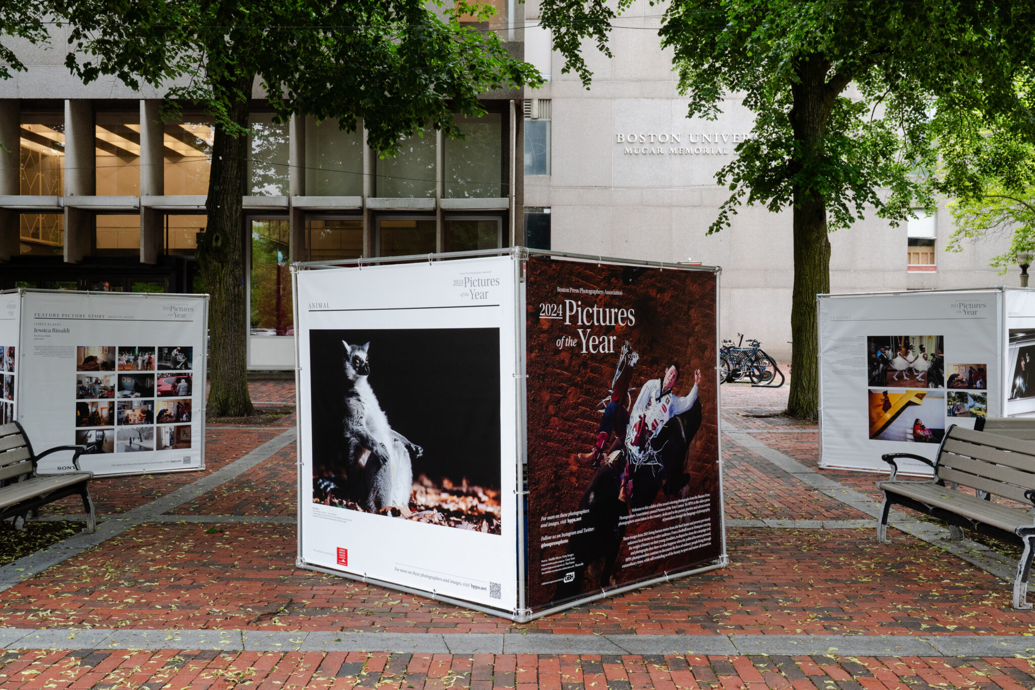 Large printed photo exhibits outside