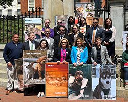 A group of people holding posters outside of the MA State House
