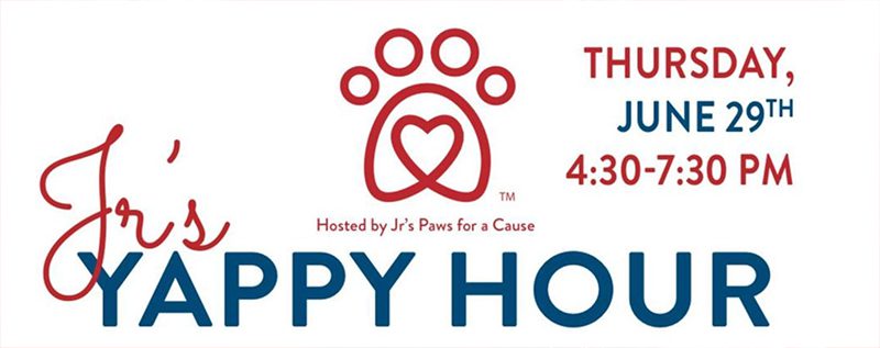 chapins fish yappy hour event header
