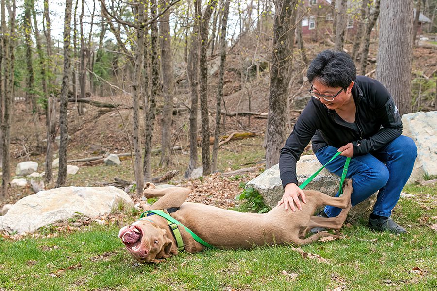 Ning with her dog, Buddy, giving belly scratches outside of ARL's Dedham Animal Care & Adoption Center