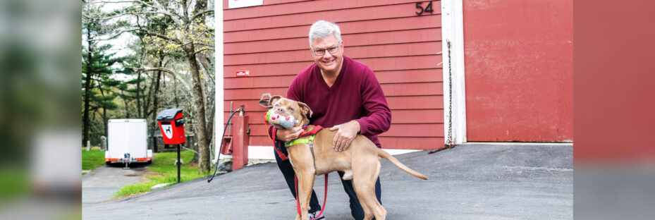 Walkin' vertebraVe Dog Back Brace