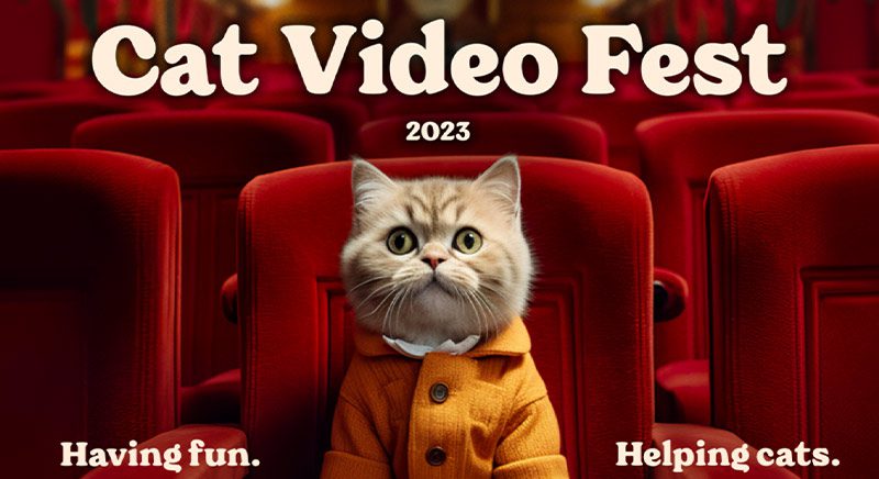 Cat Video Fest 2023