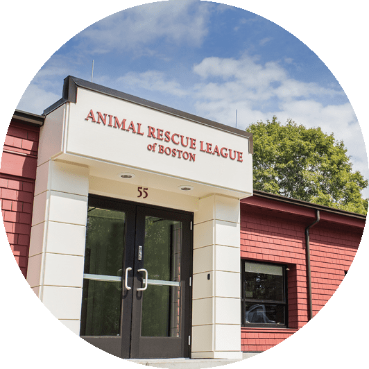 Dedham Animal Care & Adoption Center