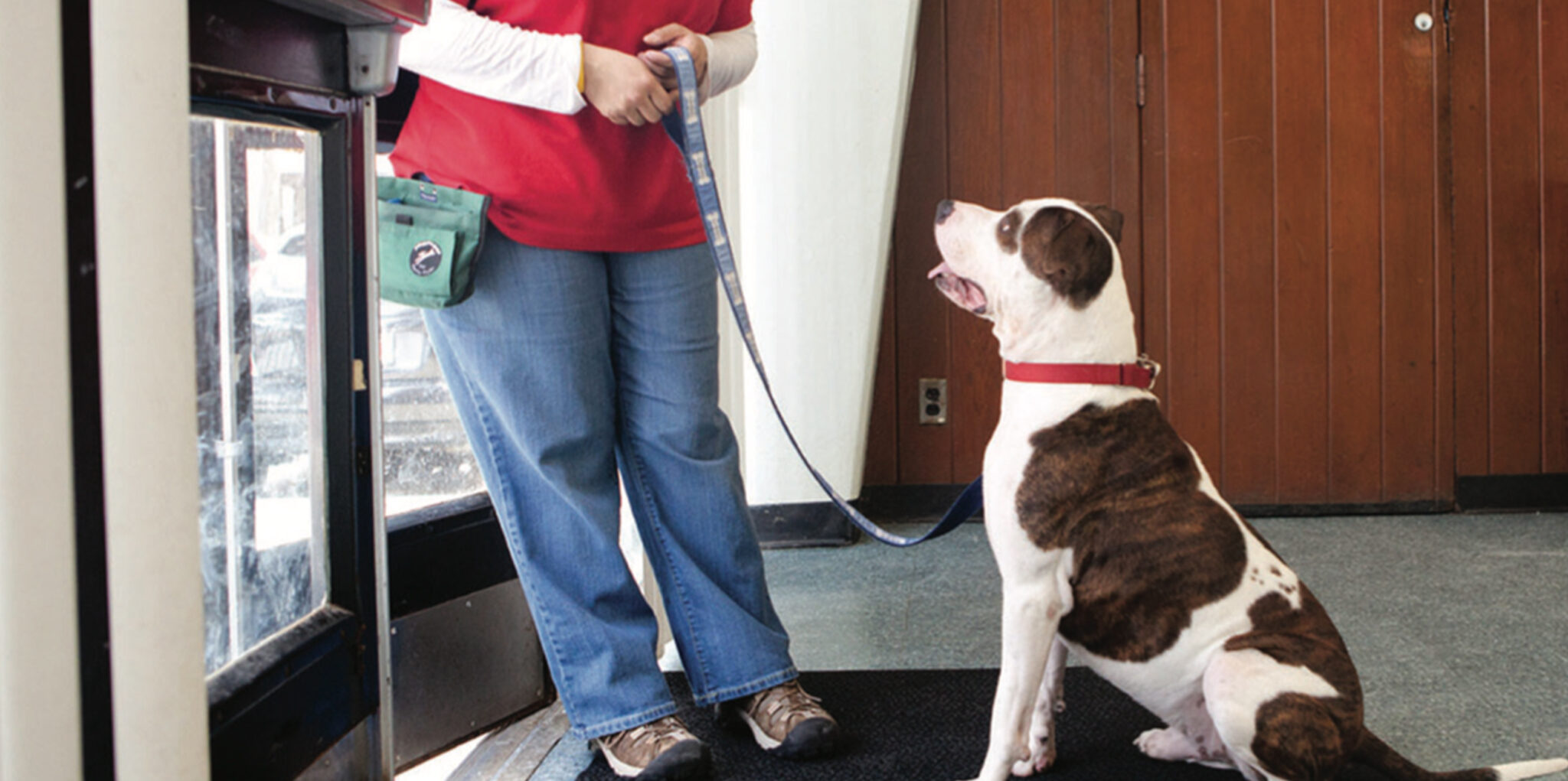 Dog sitting looking up at ARL staff member