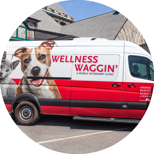 Wellness Waggin'