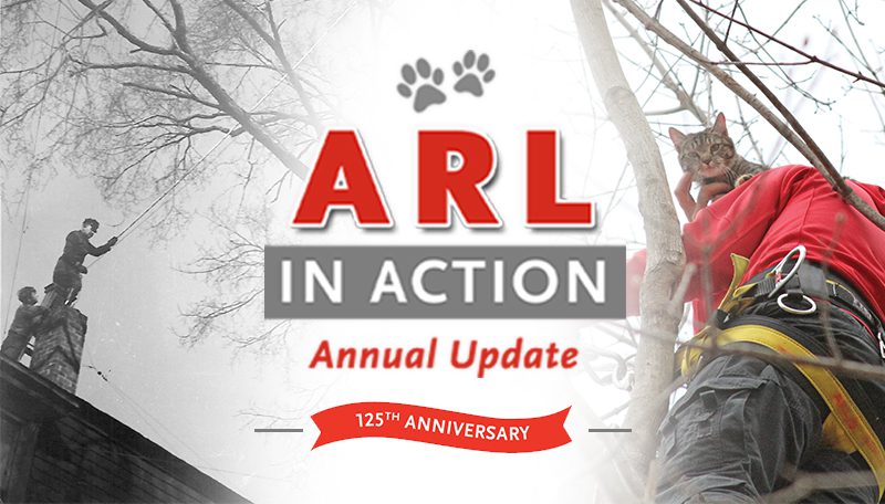 A graphic shows two photos: one historical photo of two ARL staff member on top of a roof rescuing a cat from a tree and a current photo of an ARL staff member rescuing a cat from a tree