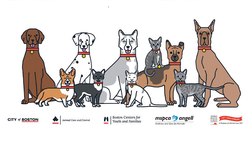 cartoon photo of dogs and cats sitting next to each other