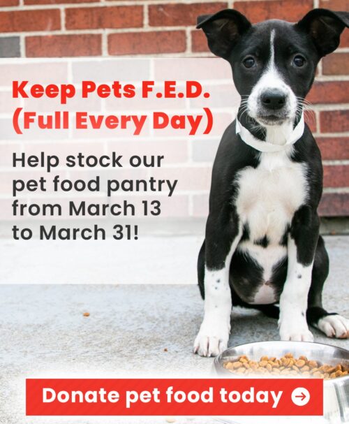 Keep Pets FED (Full Every Day). Click to donate pet food.