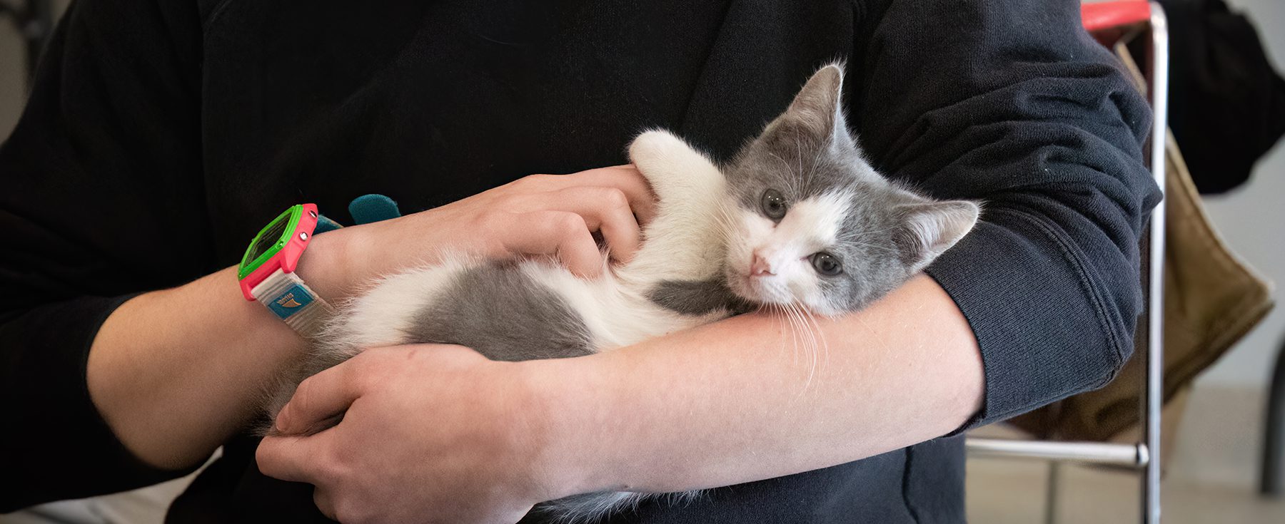 A young person holding a small kitten