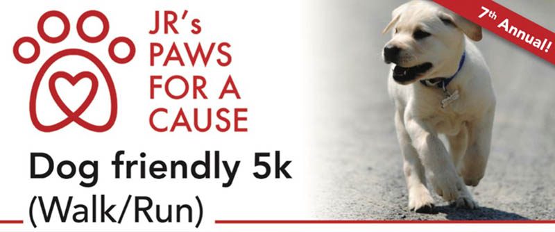 Jr's Paws For a Cause graphic featuring a puppy walking outside
