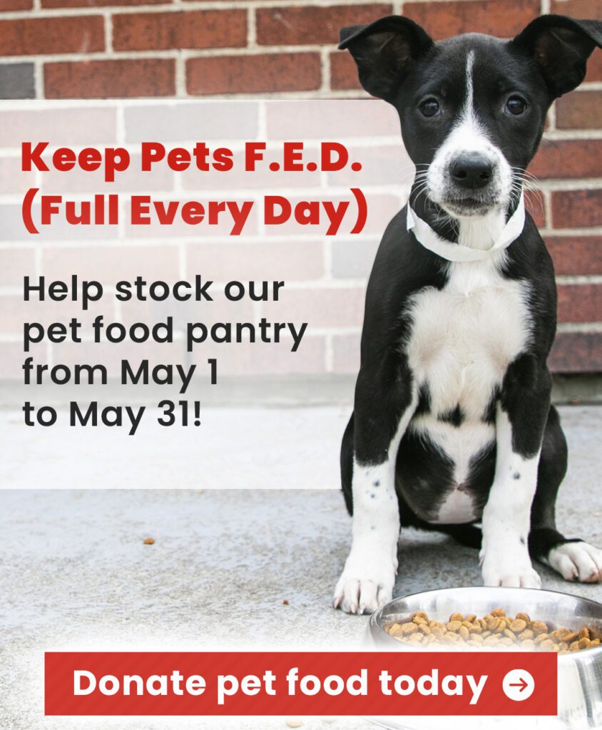 Puppy sitting in front of a bowl of food. Keep Pets F.E.D. graphic