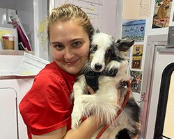 ARL vet staff holding a small dog