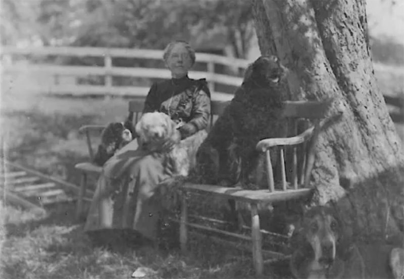 A historical photo of a woman sitting on a bench with dogs, outside.