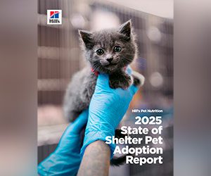 A small gray kitten is held by gloved hands in a shelter setting. Text reads, "2025 State of Shelter Pet Adoption Report."