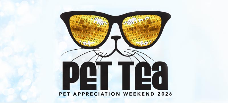 Playful PET TEA logo showing a cat face in glittering gold sunglasses on a soft blue background, with “Pet Appreciation Weekend 2026” text.