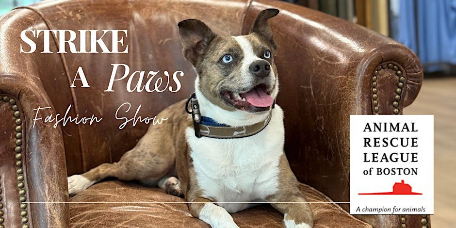 Events from July 14, 2022 – March 26, 2023 – Animal Rescue League