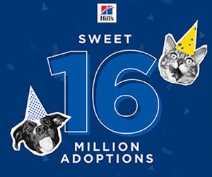 Blue background with "Sweet 16 Million Adoptions" in white text. A dog and a cat wear yellow party hats, celebrating. Hill's Pet Nutrition logo at the top.