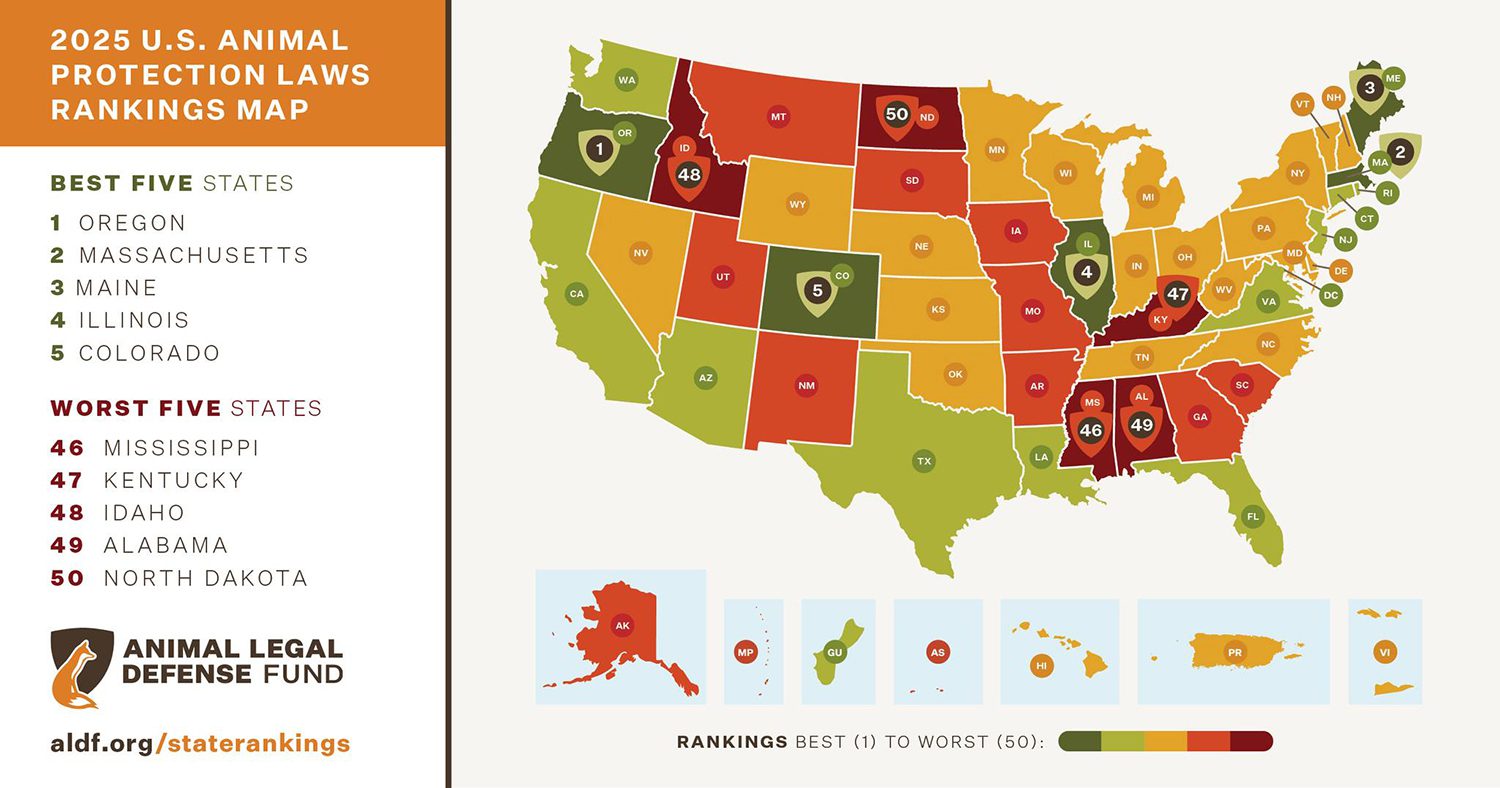 Map of the U.S. showing 2025 animal protection law rankings by state. Oregon ranks best, North Dakota worst. Color-coded gradient from green to red.