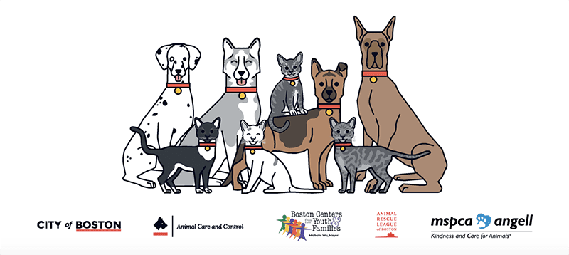 A group of illustrated dogs and cats sit together, each wearing a red collar with a tag. Logos of the Animal Rescue League of Boston, City of Boston, and other animal organizations are displayed below.
