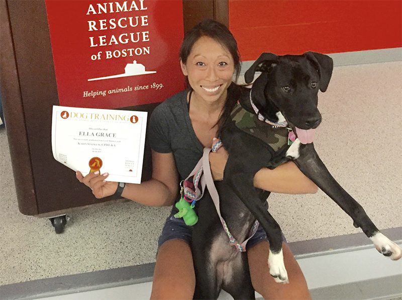 Smiling woman holds a large black and white dog, sitting next to a certificate from the Animal Rescue League of Boston.