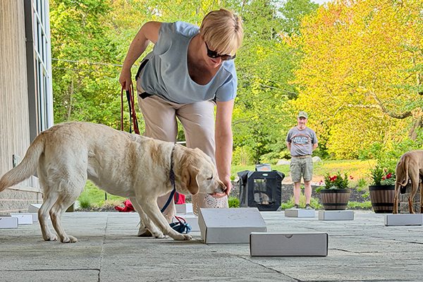 A woman with a labrador dog, in a sniffing activity on a patio with boxes. She holds the leash gently, while another person watches from a distance. Bright, sunny day.
