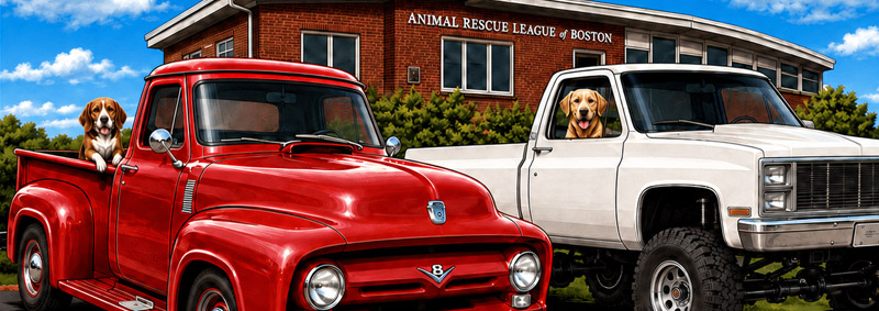 Two dogs ride in a red vintage pickup and a white truck outside the Animal Rescue League of Boston, under a bright blue sky.