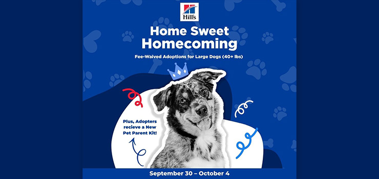 Blue Hills “Home Sweet Homecoming” graphic promotes fee-waived adoptions for dogs 40+ lbs, a new pet parent kit, and a playful dog illustration, Sept. 30–Oct. 4.