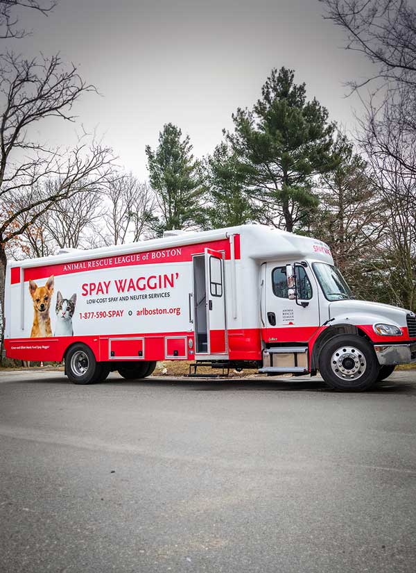 A red-and-white Animal Rescue League of Boston mobile clinic truck, labeled “Spay Waggin’,” is parked on a quiet road beneath bare trees and evergreens.