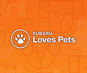Orange Subaru Loves Pets graphic with a white paw-print emblem and bold logo text over faint pet-themed icons.